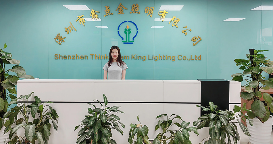Neon light suppliers