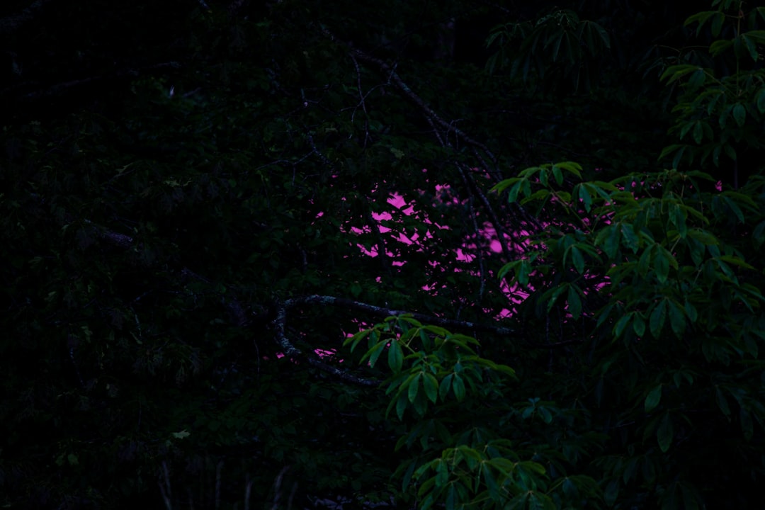 mini neon light