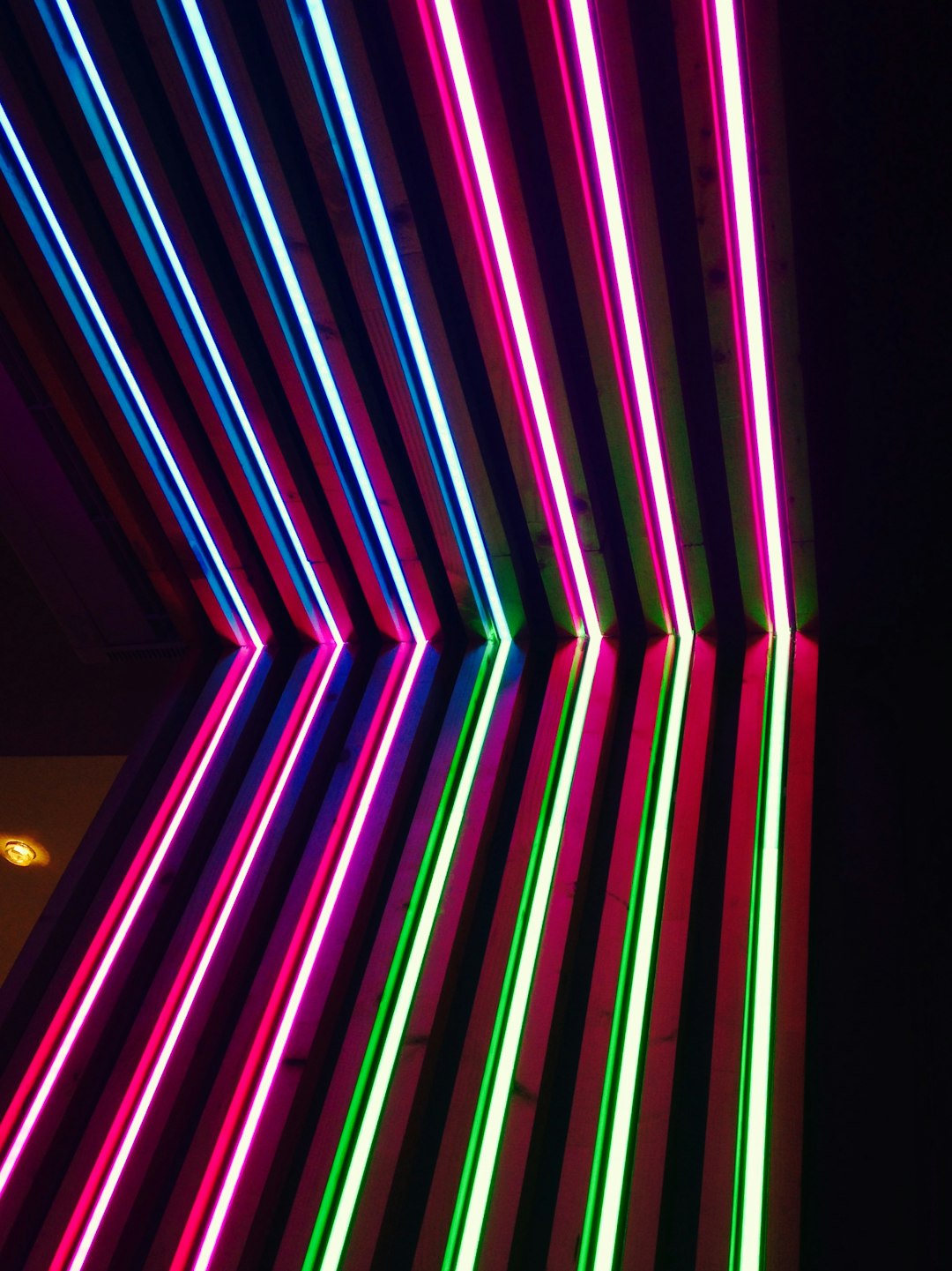 Separated 8 - mm neon strip