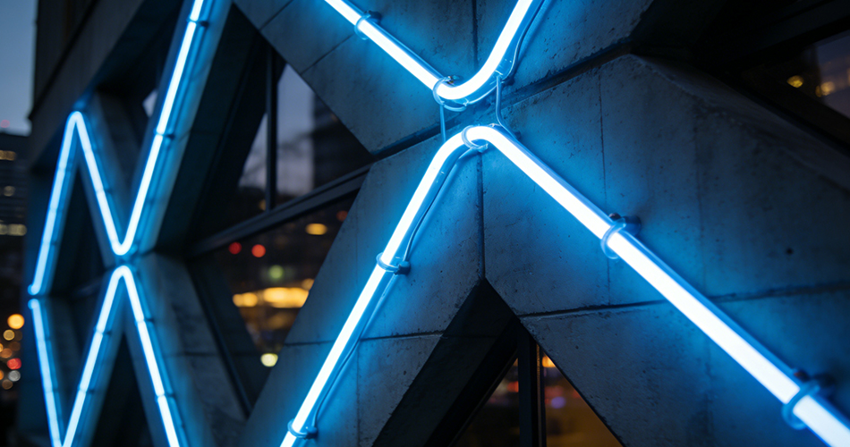 digital led neon flex